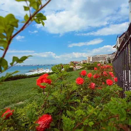 Mia Cassa Sweti Wlas