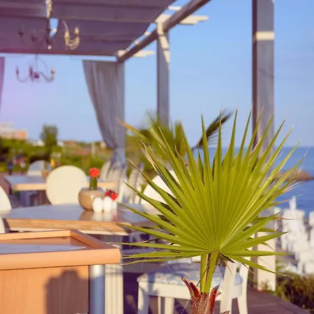 Mia Cassa * Sweti Wlas